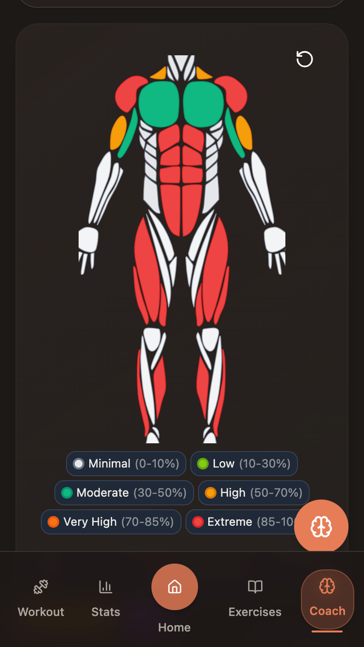 Waitz fatigue body map showing muscle group recovery status